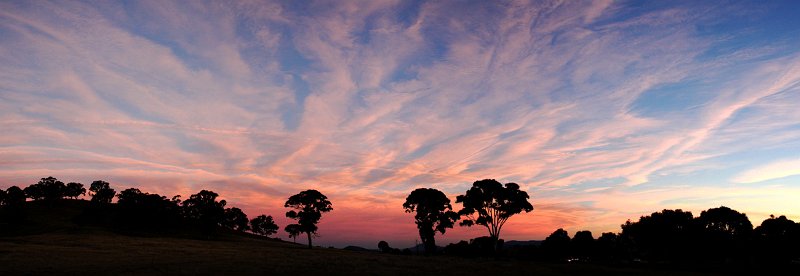 contrail pano.jpg